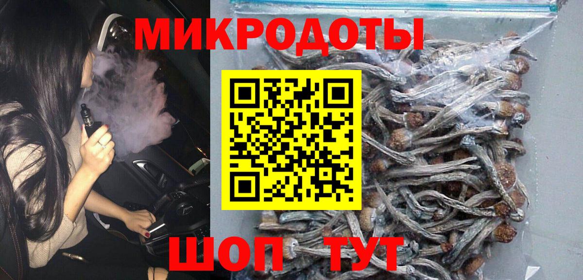 Майкоп  Галлюциногенные грибы мицелий  Вход с VPN  Псилоцибиновые грибы Psilocybe 